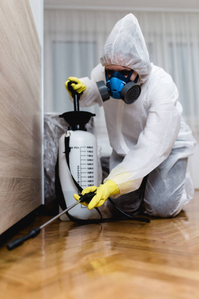 Emergency Pest Control Services in San Marino, CA